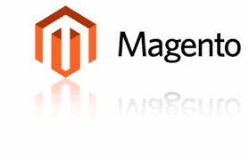 Unlocking Success: The Expertise of a Magento Web Design Company