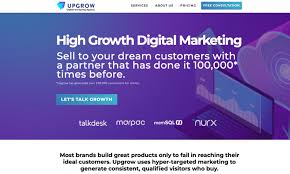 ecommerce digital marketing services