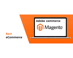 Unlocking Success: The Role of a Magento Ecommerce Agency in Your Online Business