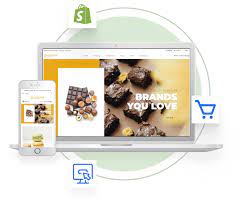 Unlocking Success: Elevate Your Business with Shopify Website Development