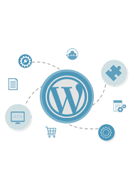 Enhancing Your Online Presence with a Leading WordPress Web Development Company