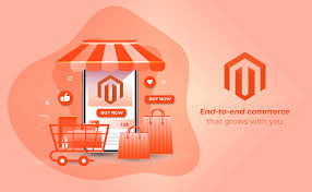 magento ecommerce company