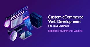 custom ecommerce web development